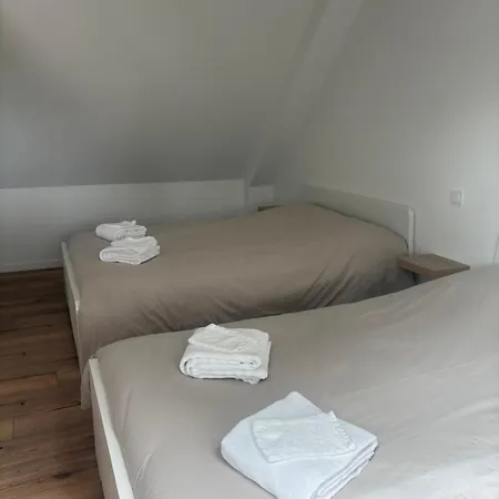 Du Chêne Montaigu-les-Bois